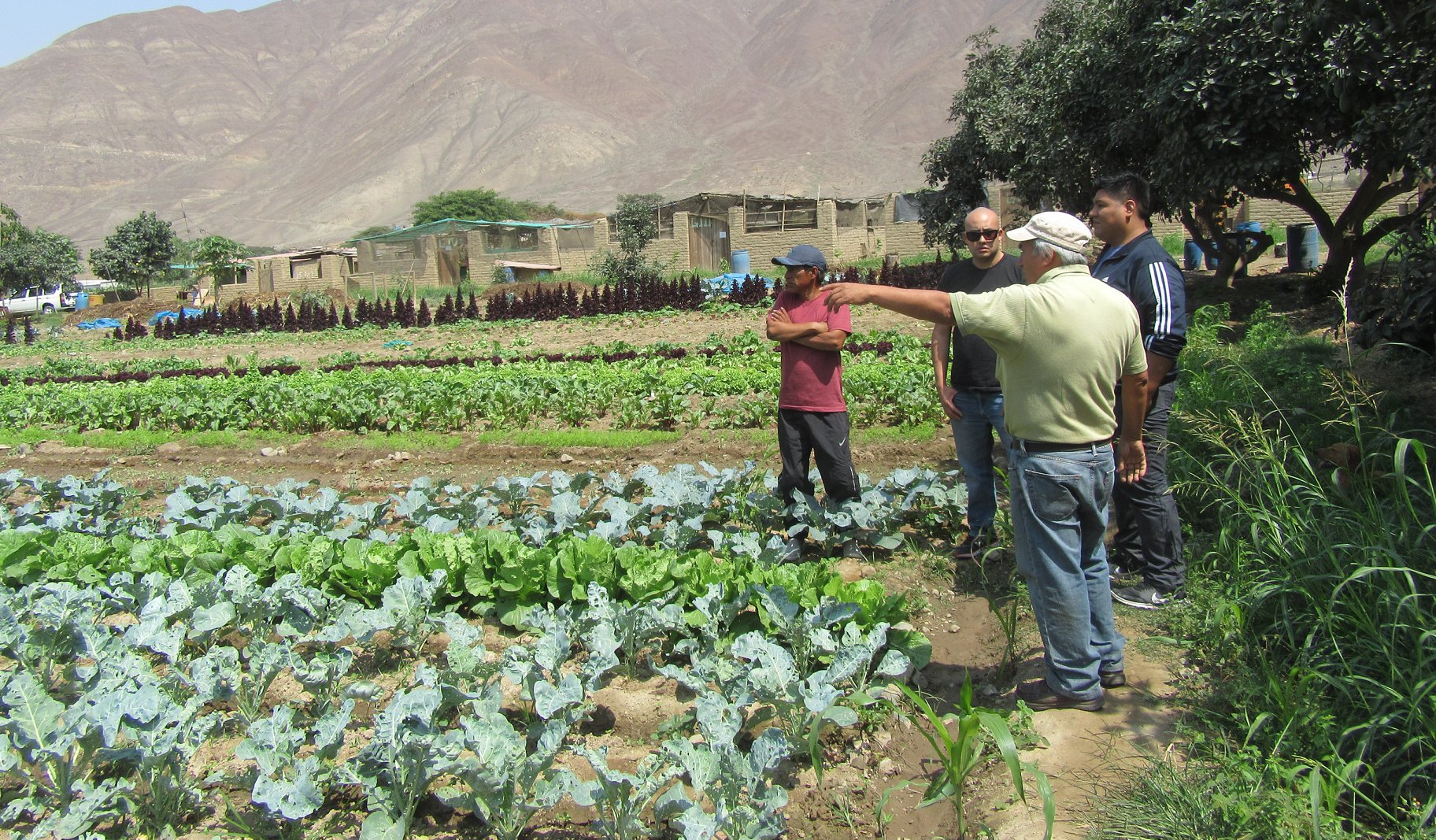 luis-gomero-osorio-acurio